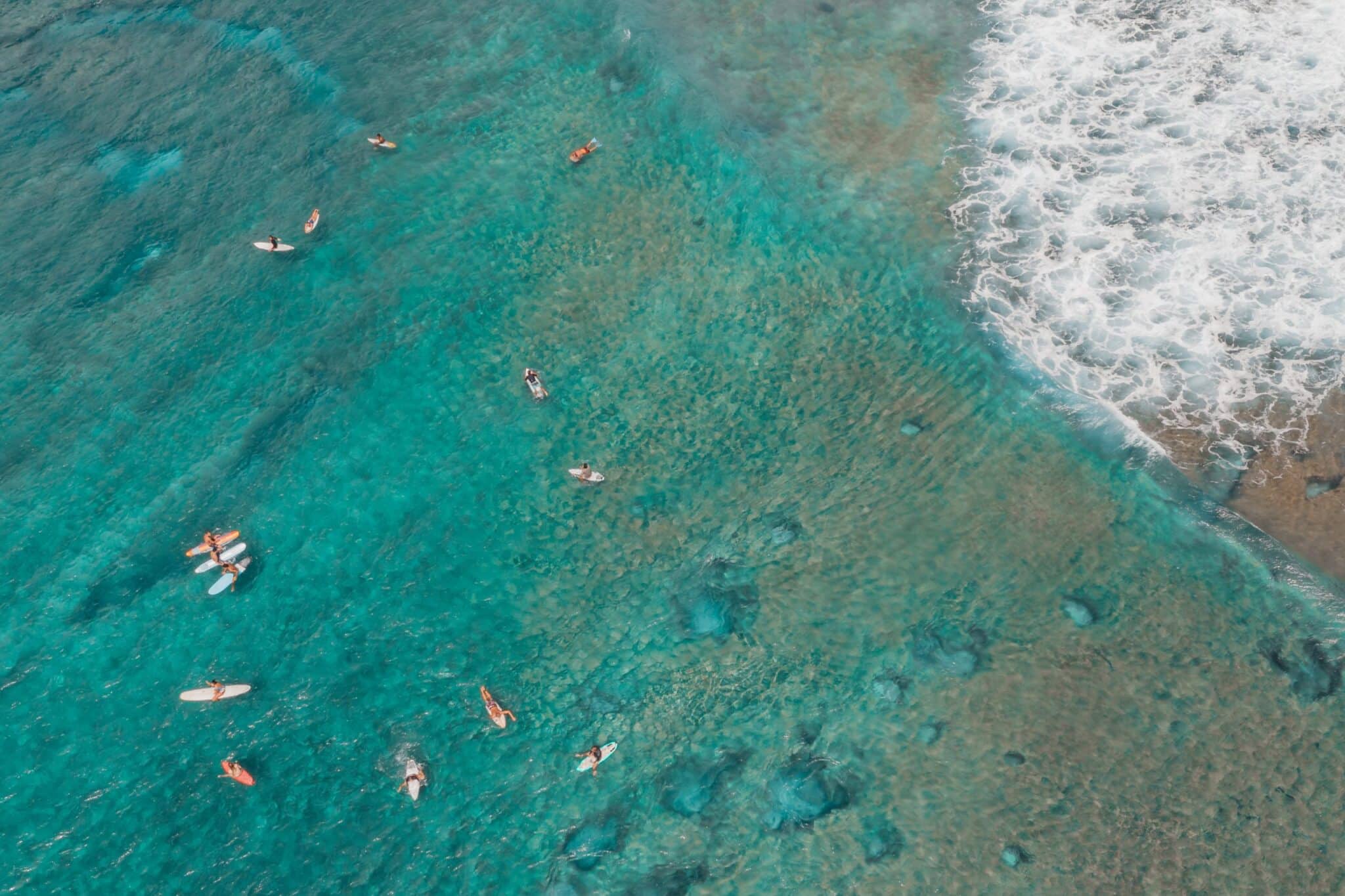 oahu surf school