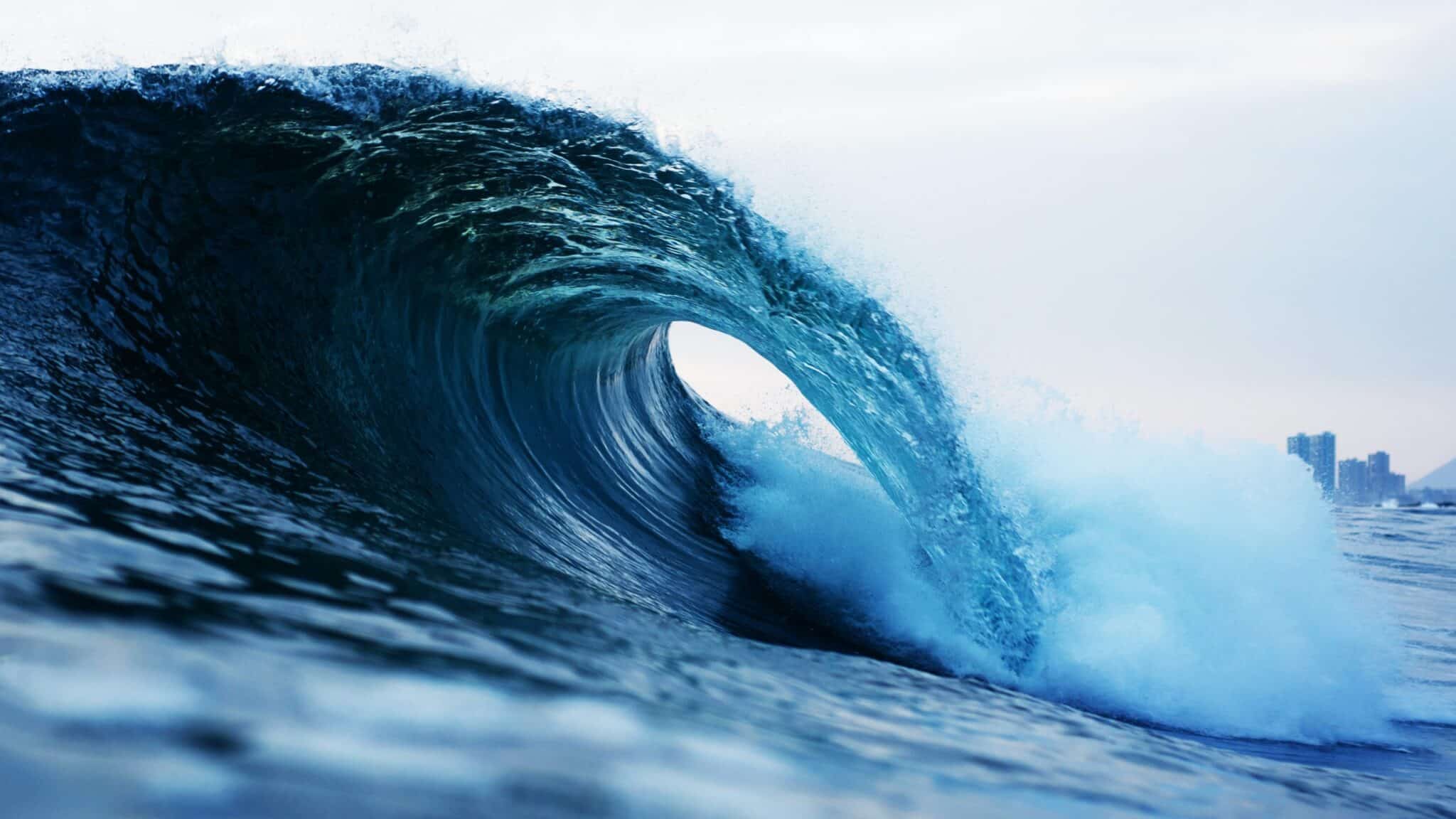 Learn to surf Hawaii