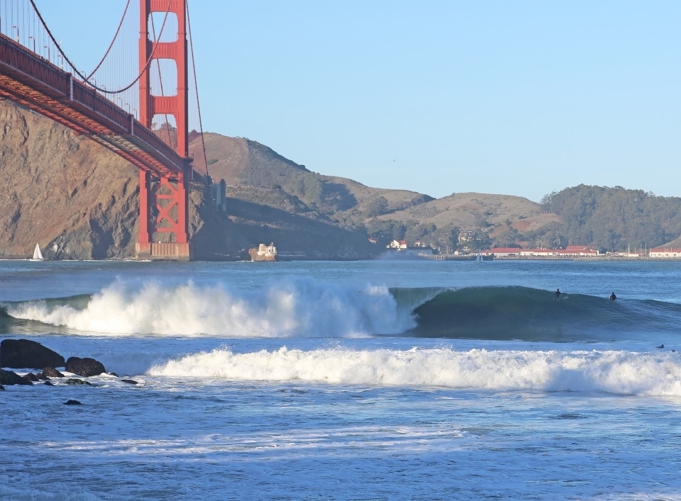 novelty wave
