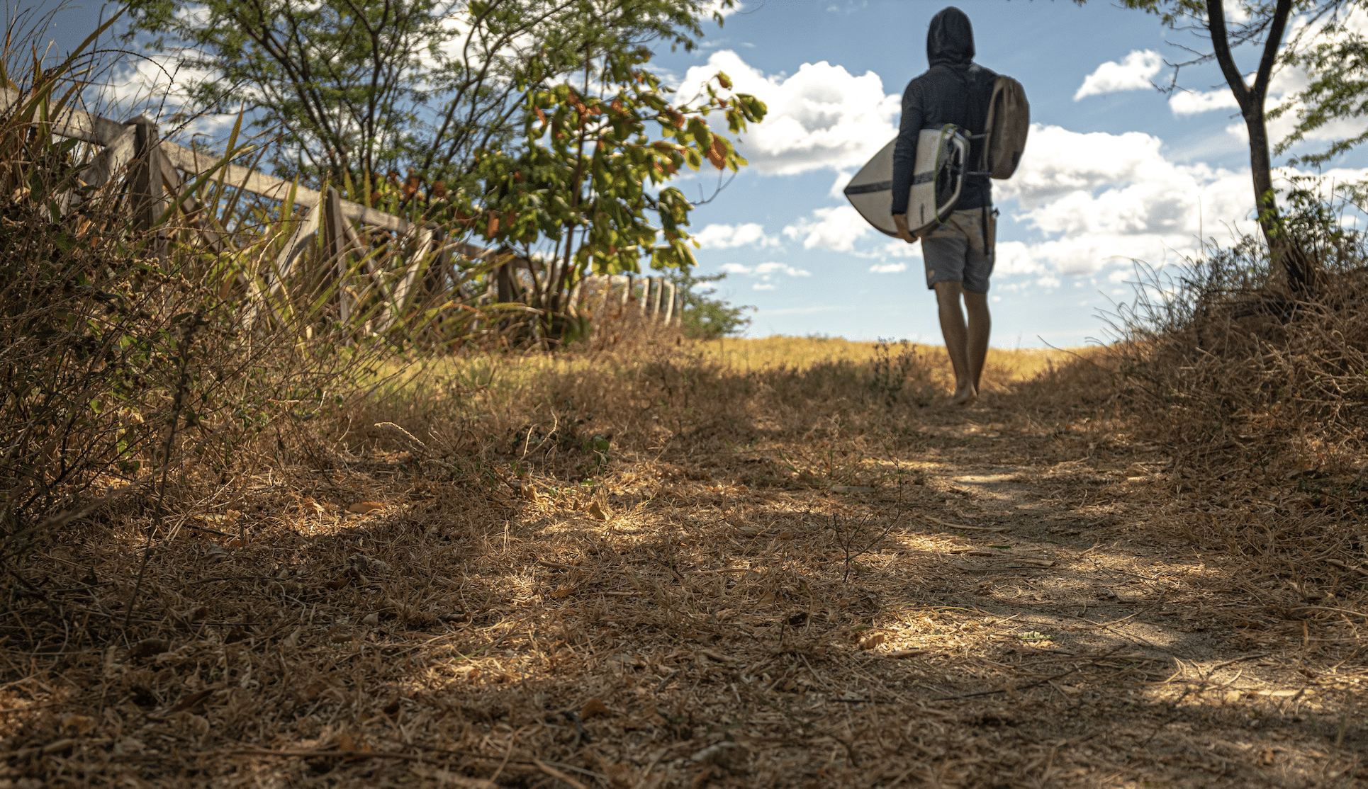 surf travel