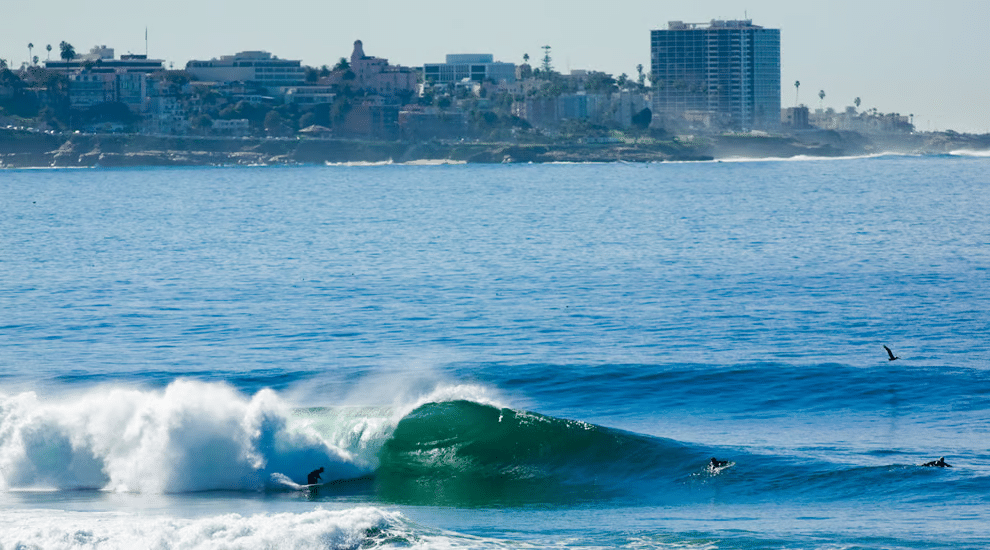 Surf Road Trip